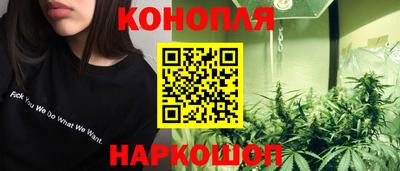 сатива Будённовск