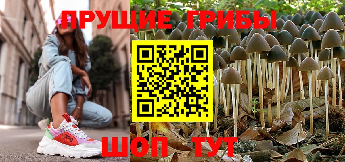 Псилоцибиновые грибы прущие грибы  Галлюциногенные грибы прущие грибы  Вход с VPN  Шали 