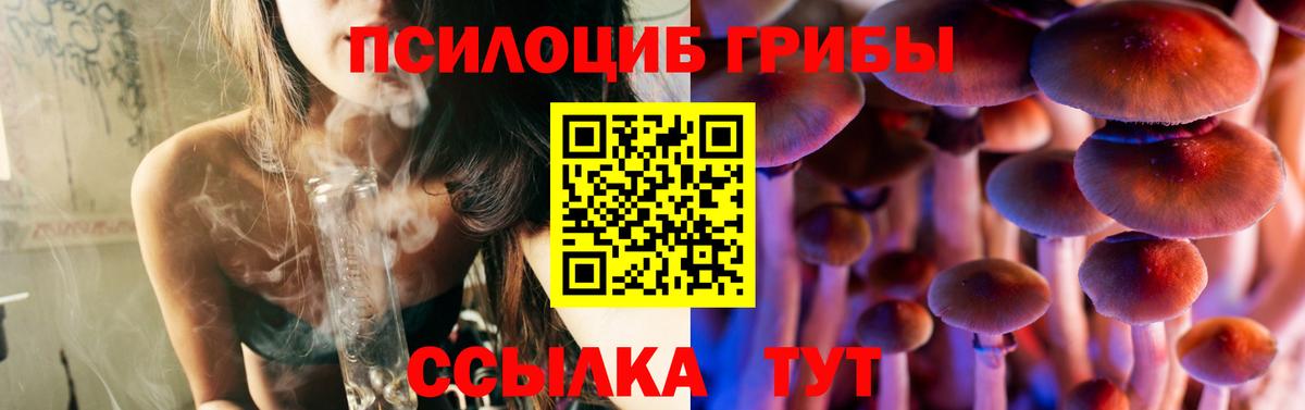 Псилоцибиновые грибы GOLDEN TEACHER Шали
